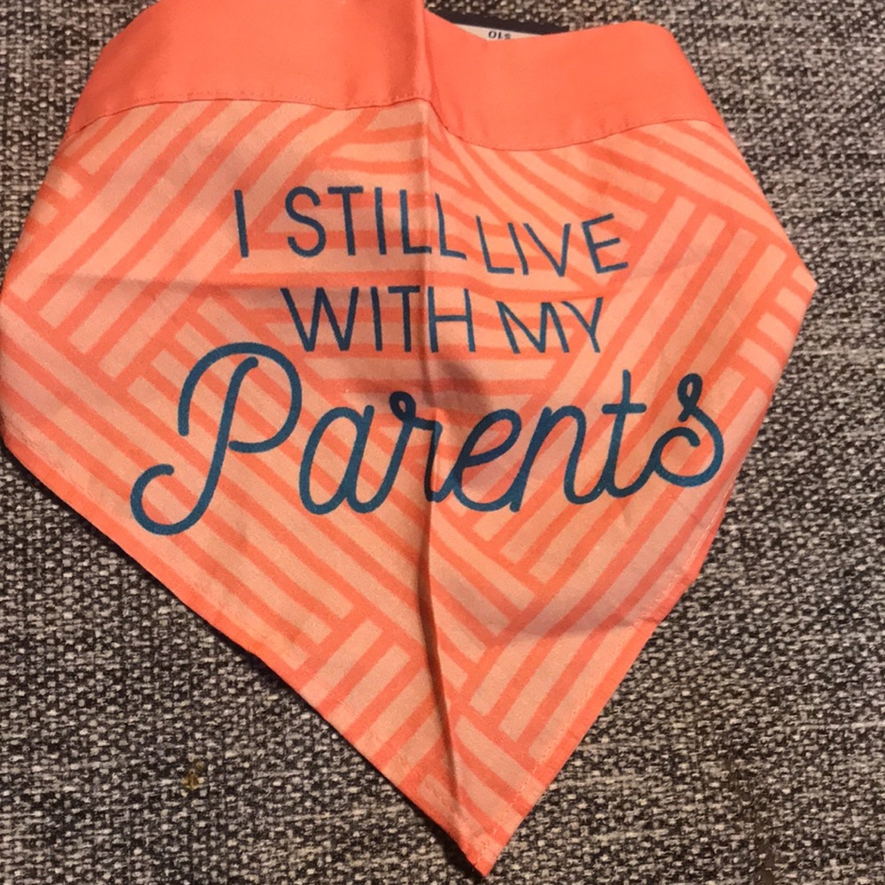 NWT Paw and Tail Pet Bandana